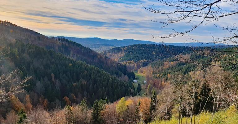 Landschaft im Thüringer Wald