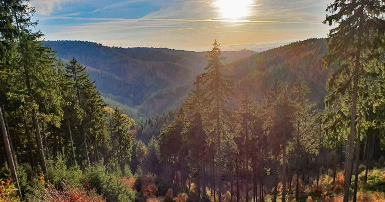Landschaft zwischen Suhl und Schmiedefeld a. R.